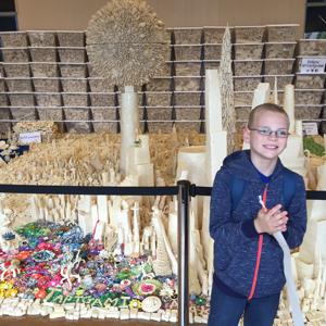 Devin with Tapigami